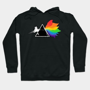 the kitsune (fox) rebel twelve through the pyramid Hoodie